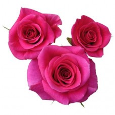 Sweetheart Roses - Splendid Suprise